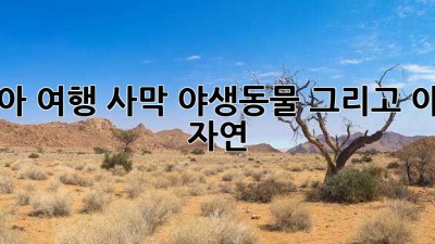 나미비아 여행: 사막, 야생동물, 그리고 아름다운 자연